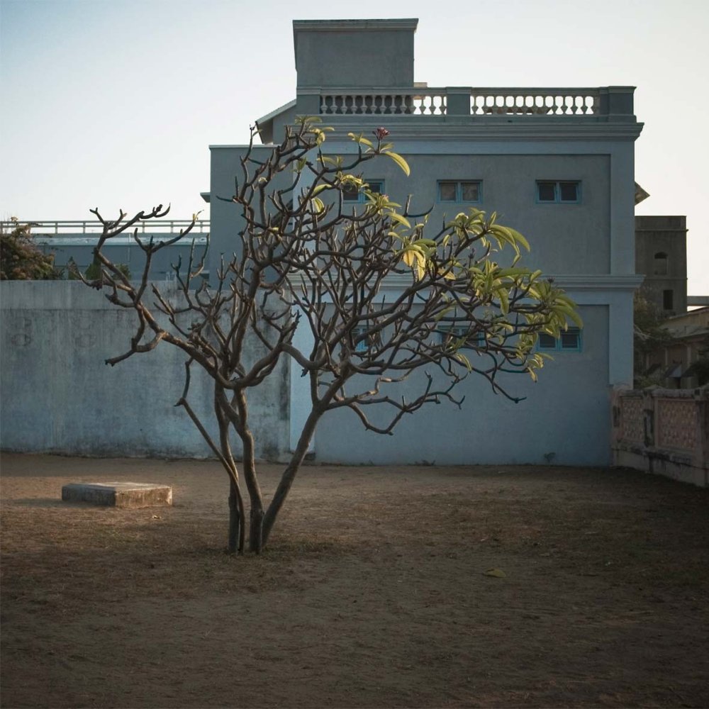 Sans titre, 2007