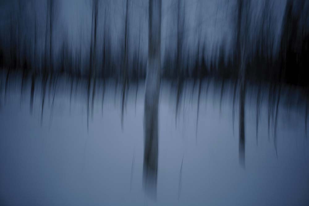 Les Arbres bleus, sans titre, 2008