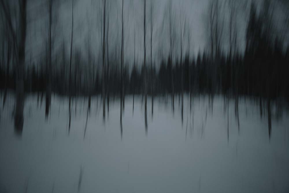 Les Arbres bleus, sans titre, 2008