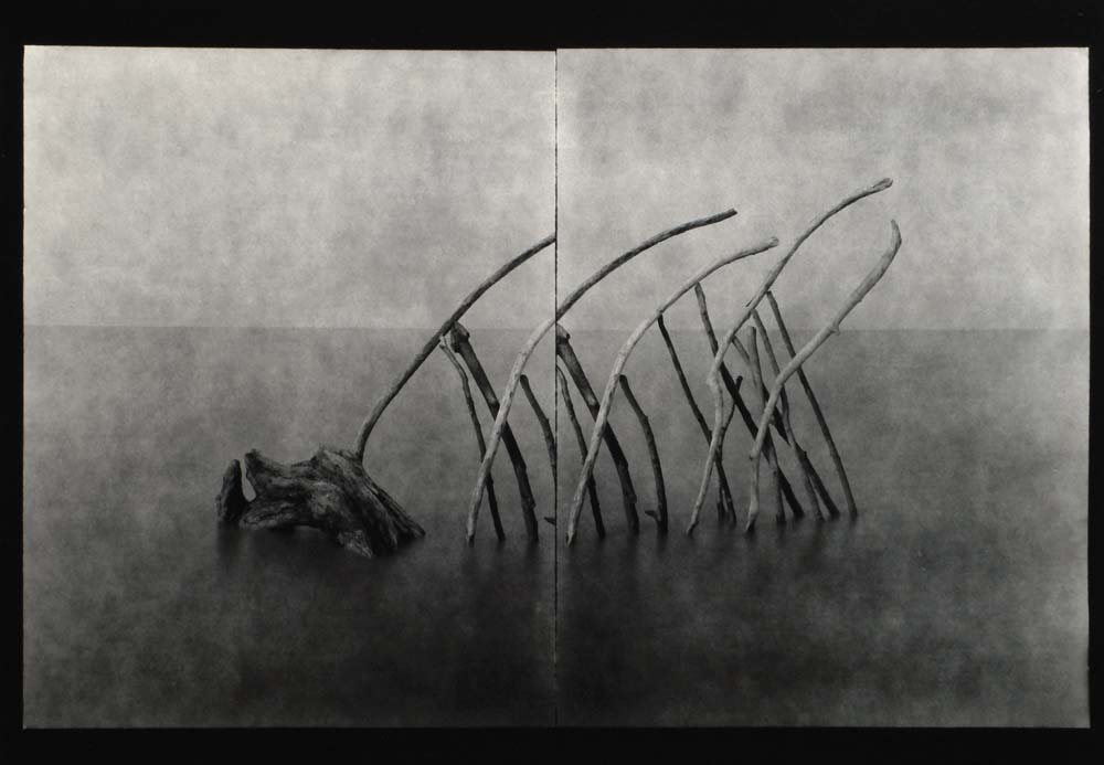Le Bestiaire, « 28 juillet », 2005