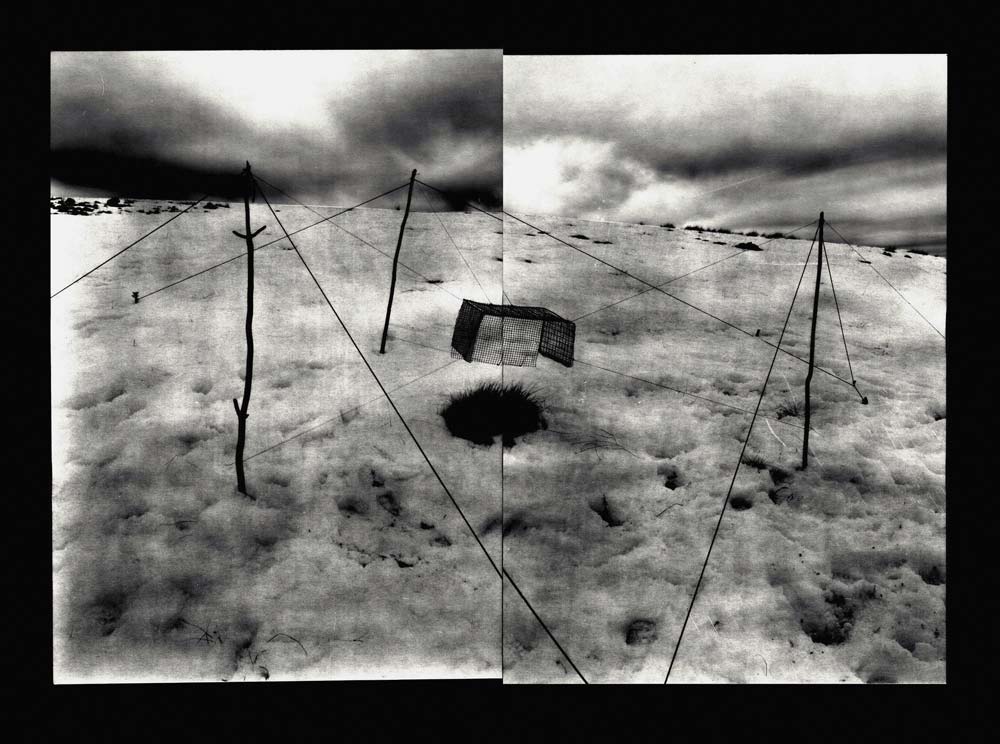 La Chasse, sans titre, 2002