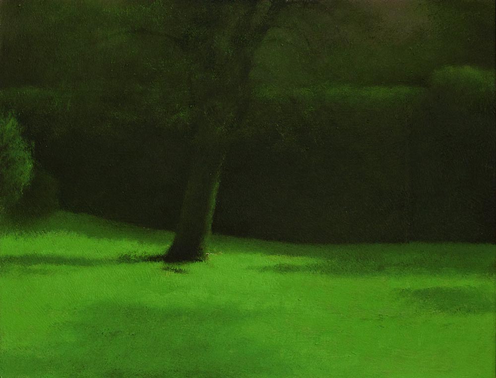 Cour sud, le prunier, 2008