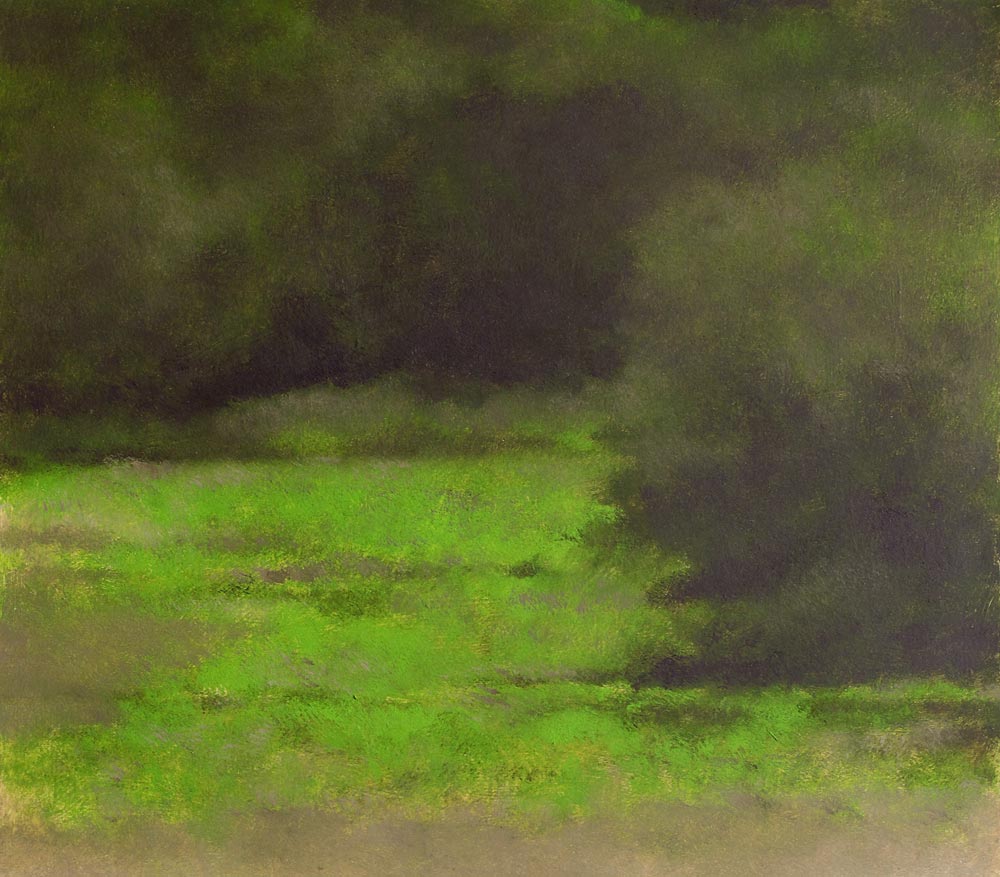 Taillis, 2005